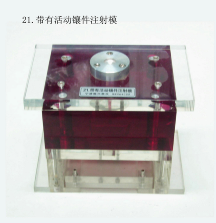 <b>塑料成型式藝與模具設計模型</b>